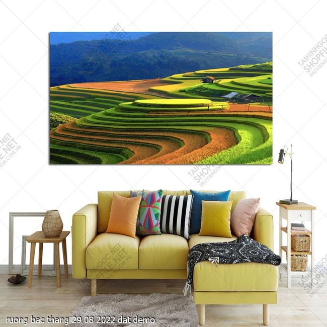ruong bac thang 29 08 2022 dat